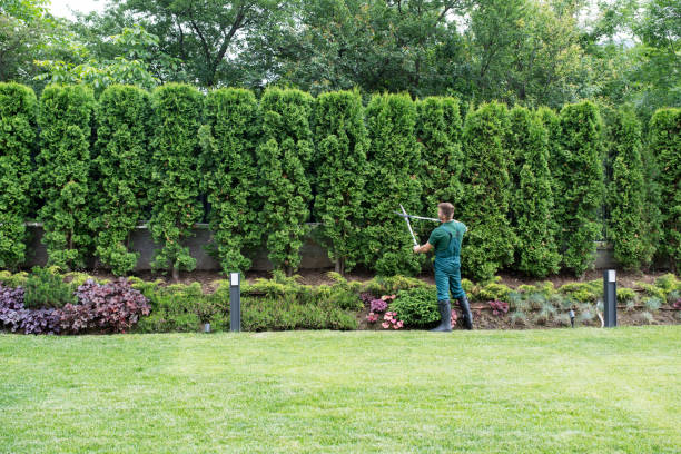 Latham, NY Tree Services Company