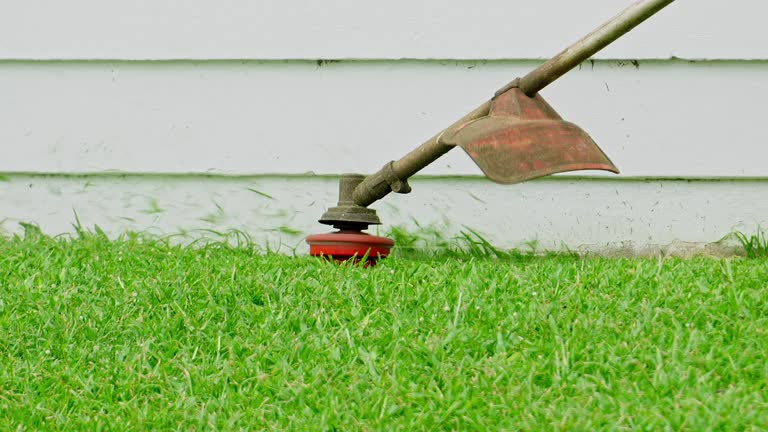 Best Tree Preservation Services  in Latham, NY
